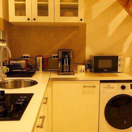 Fagaras Cosy Flat Villa Ngoại thất bức ảnh
